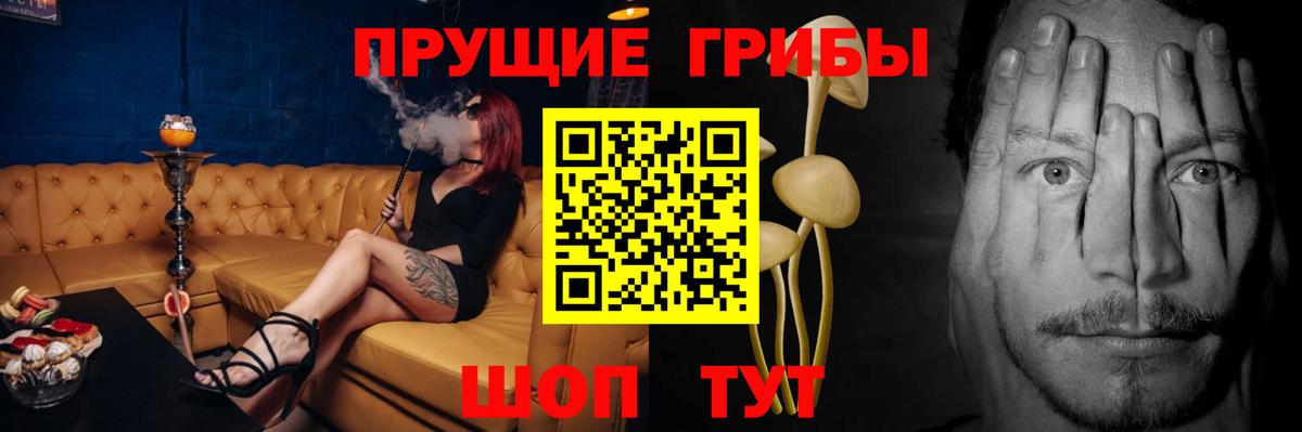 Псилоцибиновые грибы GOLDEN TEACHER Алексин